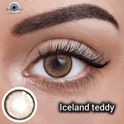 ICELAND TEDDY